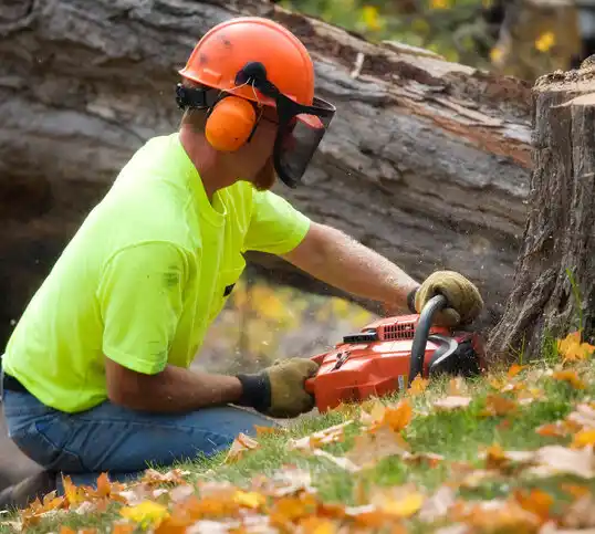 tree services Fairplay